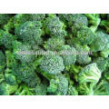 iqf broccoli florets